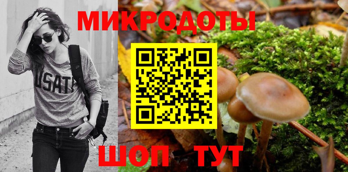Галлюциногенные грибы Psilocybe  Вход с VPN  Тутаев 