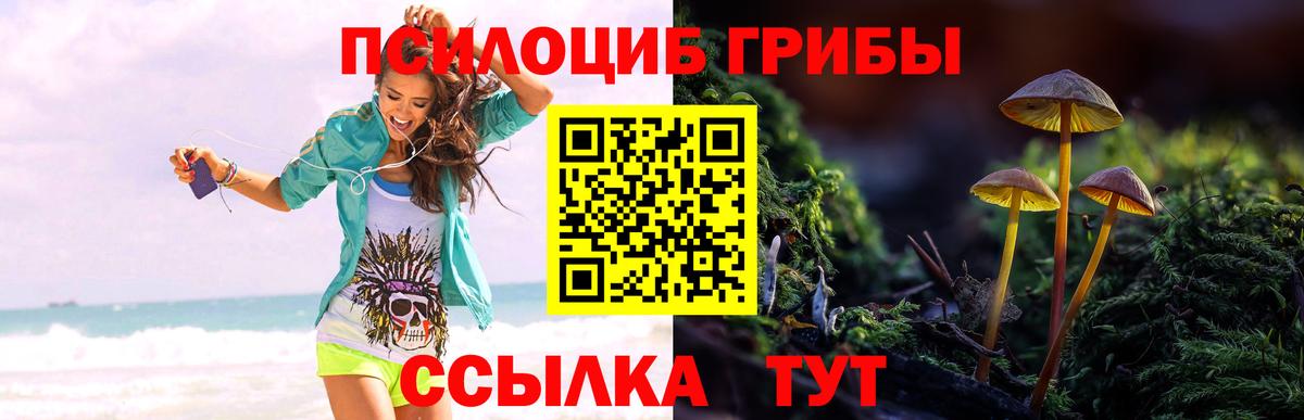 Псилоцибиновые грибы мицелий Тутаев